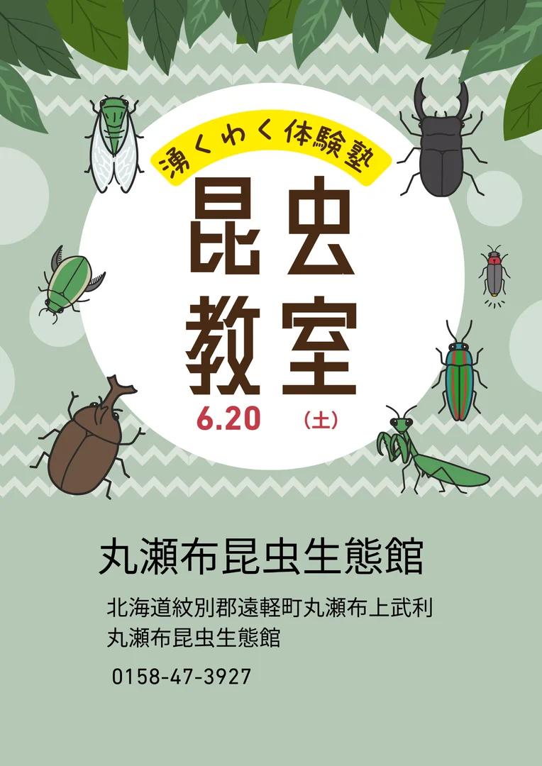 湧くわく体験塾「昆虫教室」