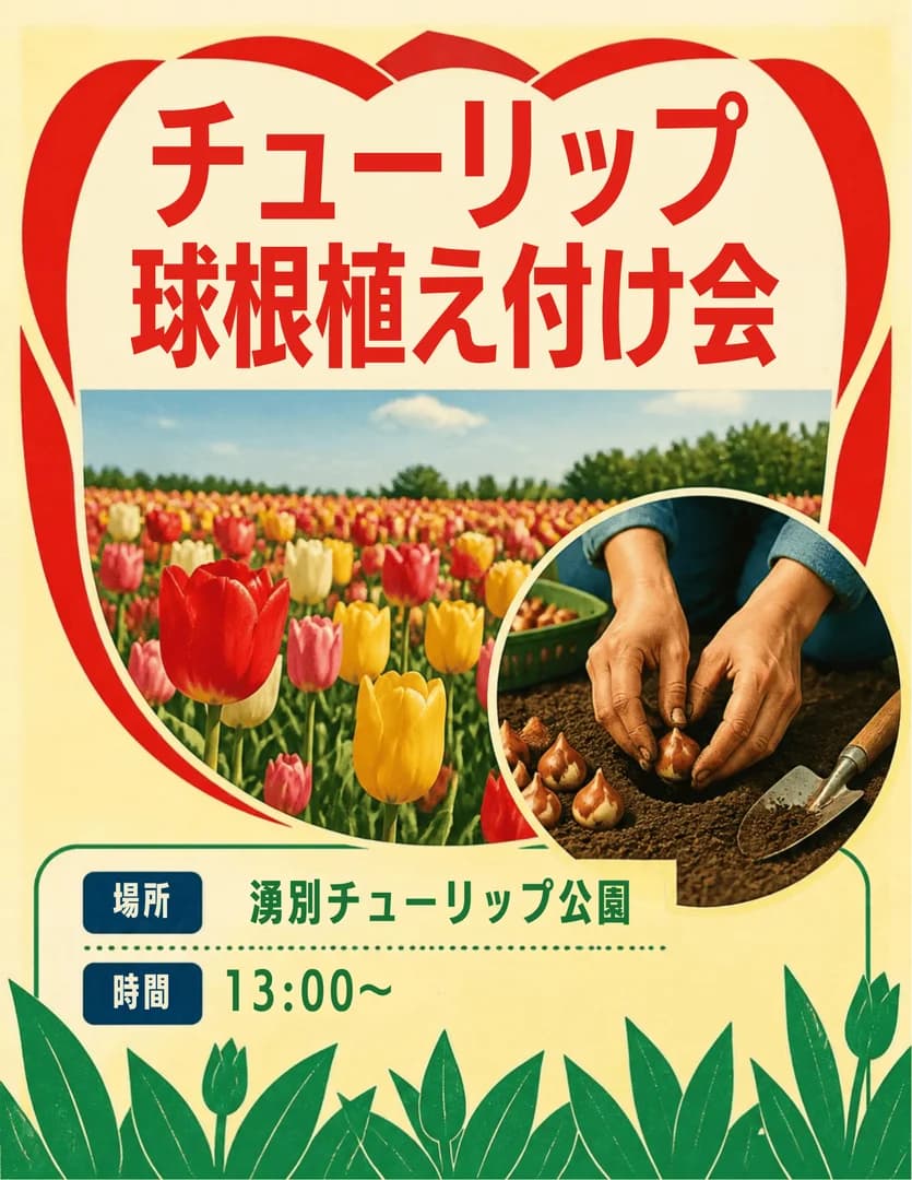 チューリップ球根植え付け会